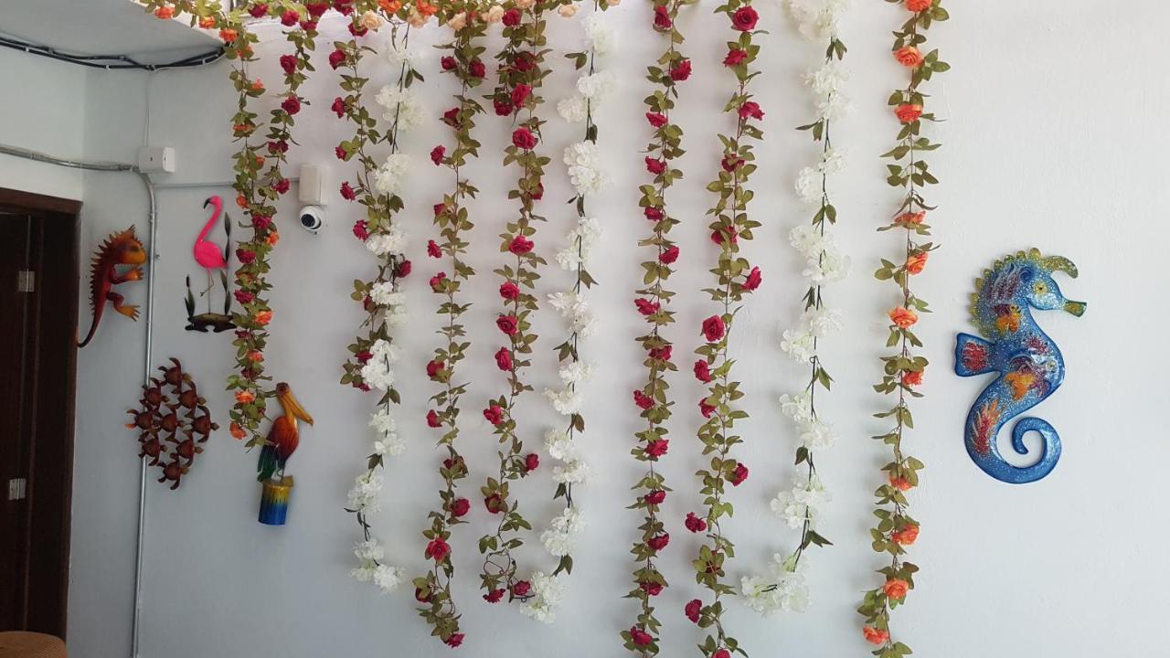 Posada Bugambilia Mazatlán Eksteriør bilde
